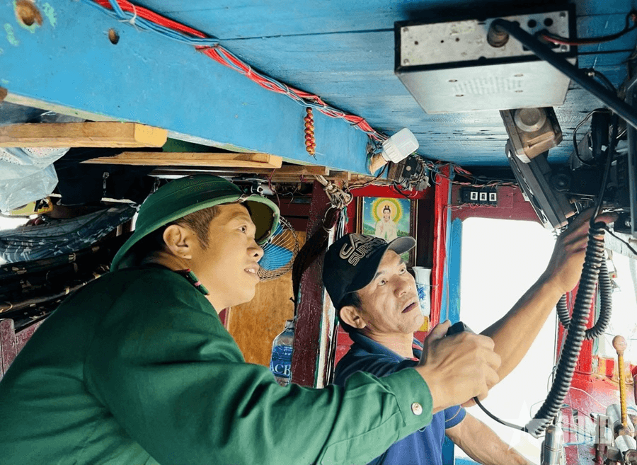 TP Đà Nẵng quyết liệt chống khai thác hải sản trái phép