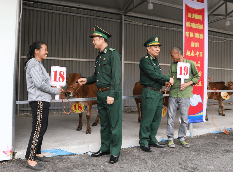 Trao tặng bò giống cho nhân dân biên giới