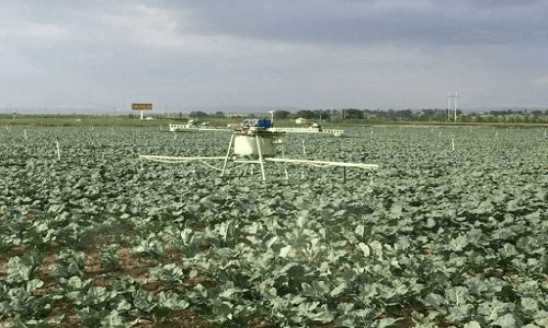 Câu chuyện quốc tế: Những "nông dân mới" ở Hoàng Bi