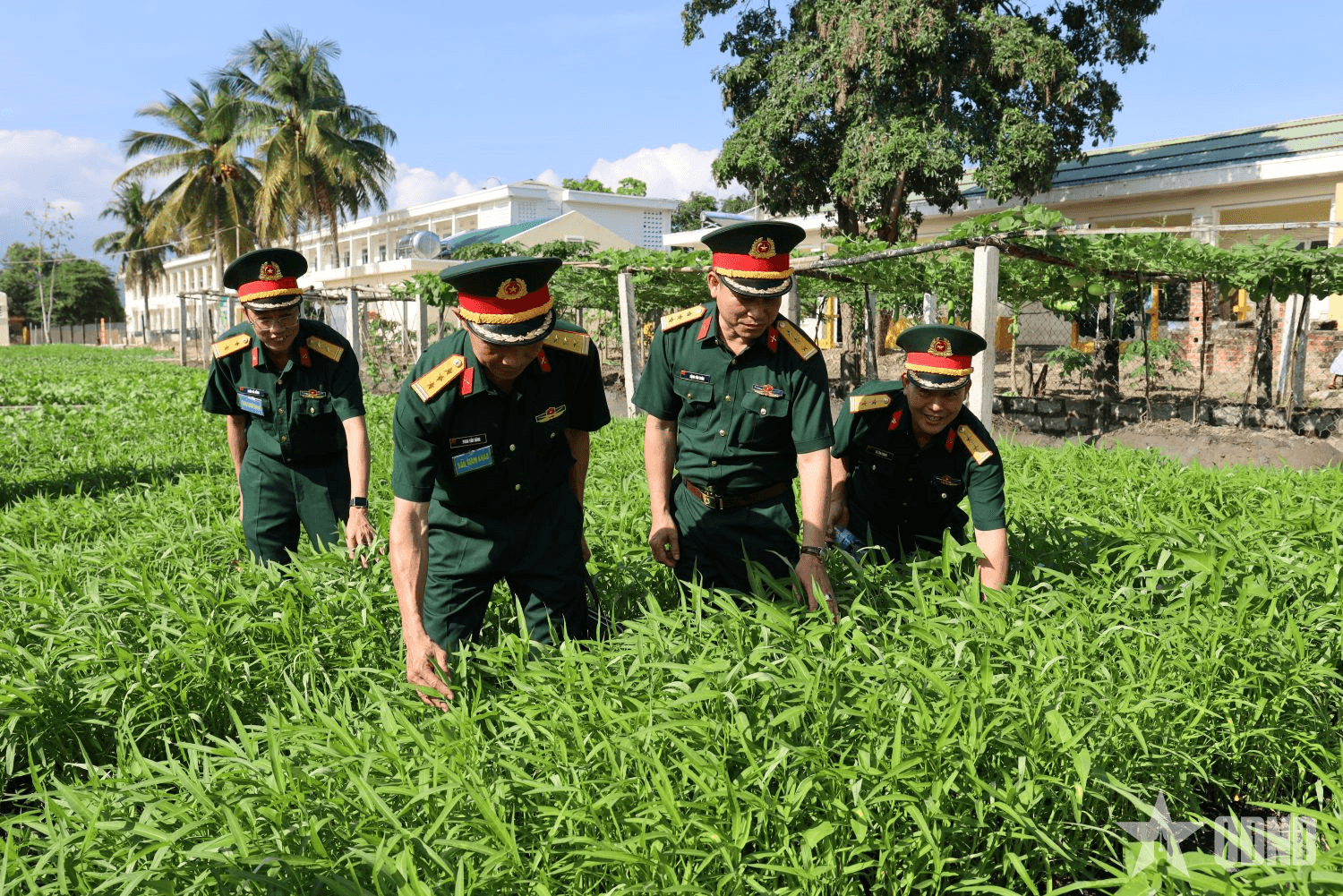 Mô hình tăng gia sản xuất hiệu quả tại Tiểu đoàn 460