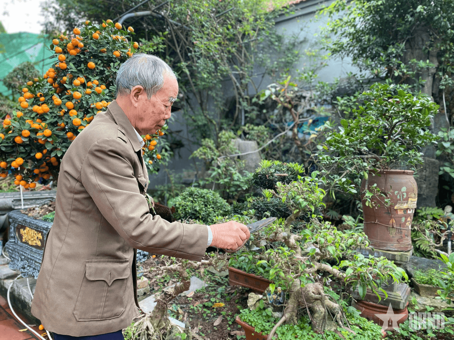 Người thương binh trở thành tỷ phú từ nghề đá
