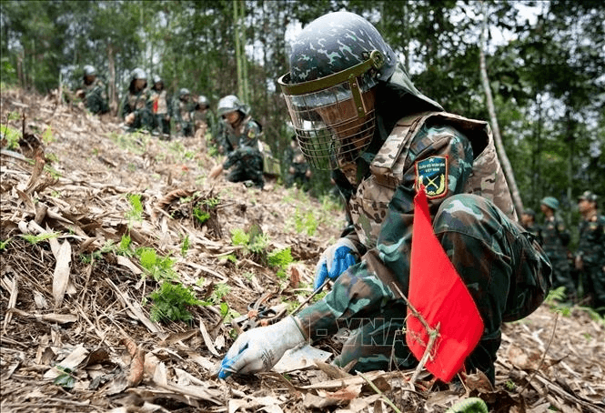 Quy chế tổ chức, hoạt động của Ban Chỉ đạo khắc phục hậu quả bom mìn và chất độc hóa học sau chiến tranh