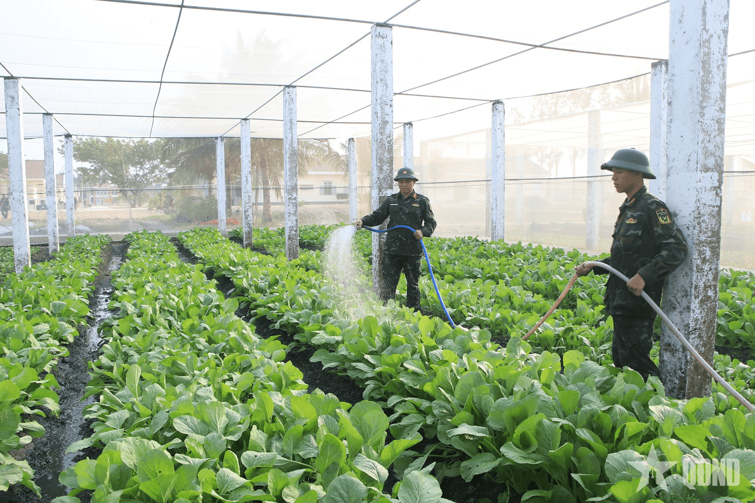 Tăng gia sản xuất, gắn bó nghĩa tình đồng đội