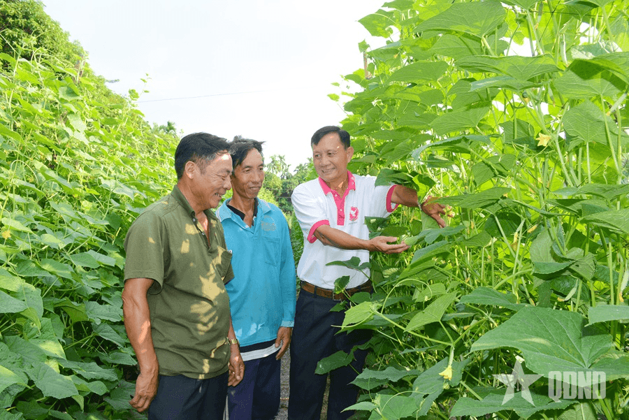 Cựu chiến binh tận tình giúp đồng đội thoát nghèo