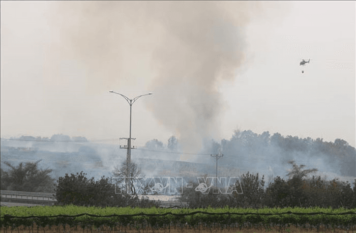 Israel đối mặt cháy rừng quy mô lớn nghi do "khủng bố"