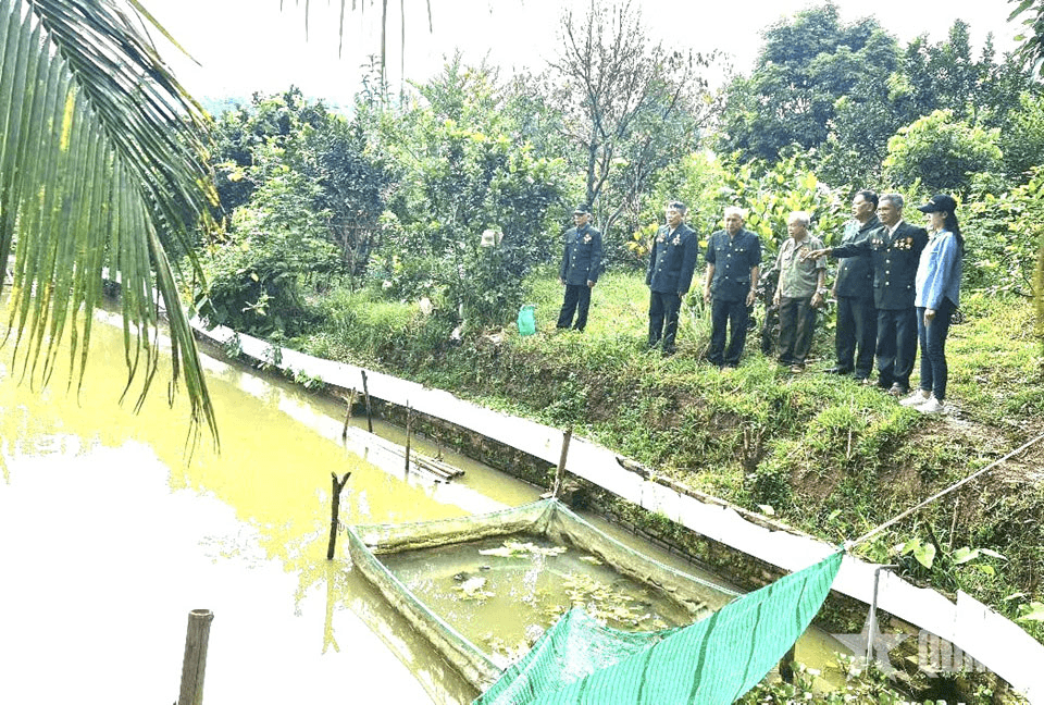 Từ khát vọng hòa bình đến xây dựng quê hương giàu mạnh