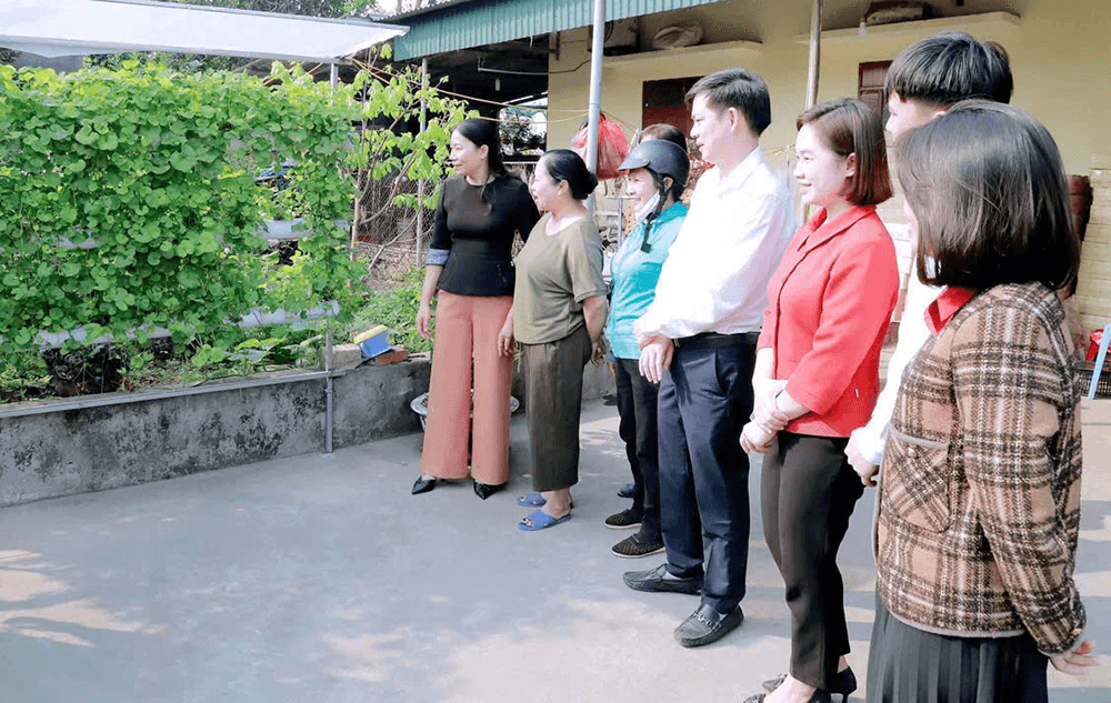 Hiệu quả mô hình trồng rau thủy canh