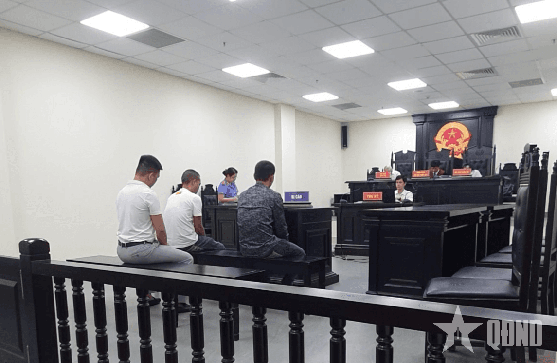 Đối tượng buôn lậu hổ xuyên quốc gia nhận án 7 năm tù