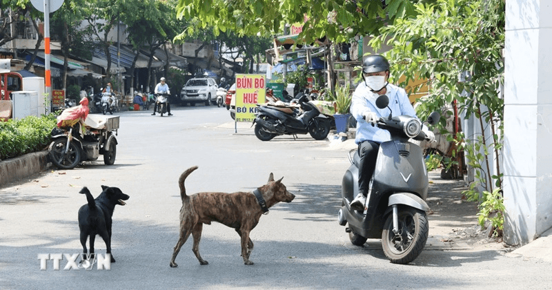 An toàn cho mình, bình yên cho cộng đồng