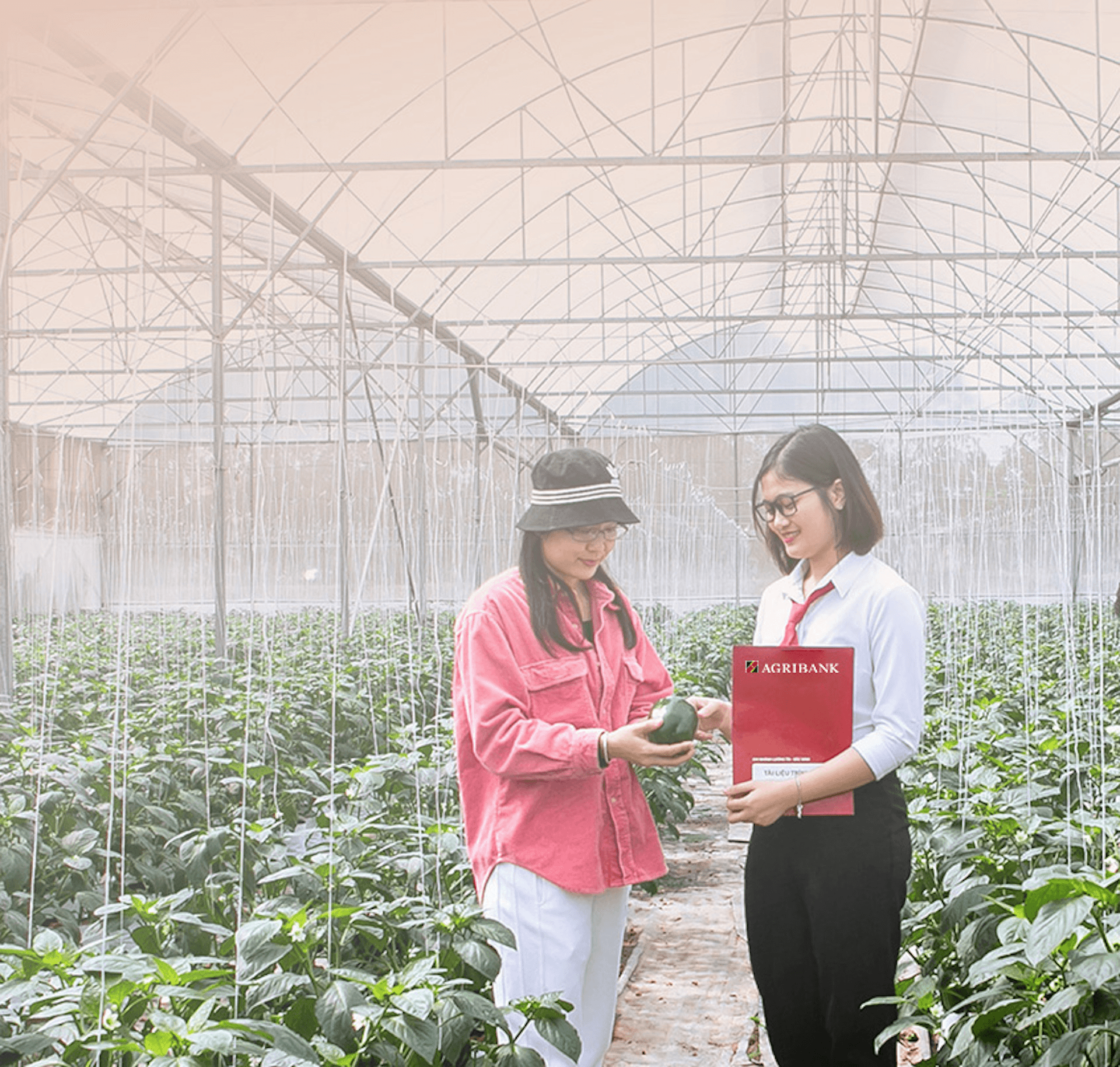 Ngân hàng tiếp sức cho kinh tế tư nhân phát triển ổn định và bền vững