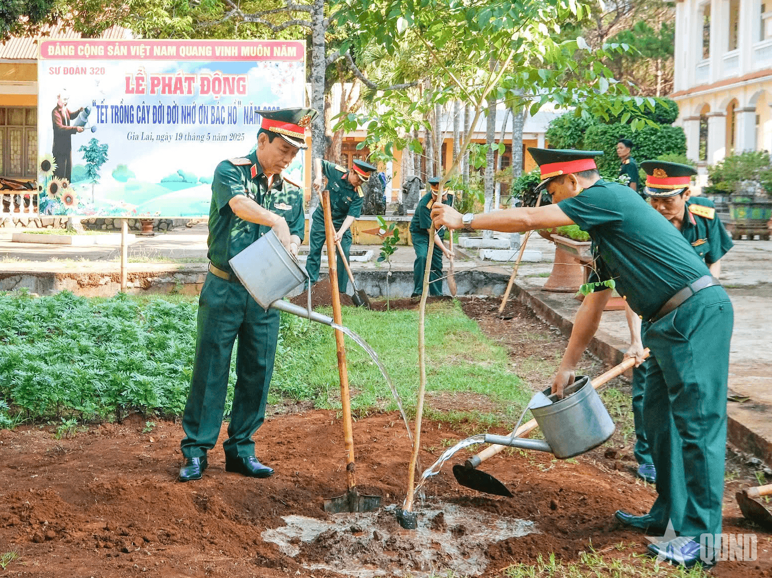 Sư đoàn 320 (Quân đoàn 34): Trồng 5.000 cây xanh trong ngày phát động Tết trồng cây “Đời đời nhớ ơn Bác Hồ”