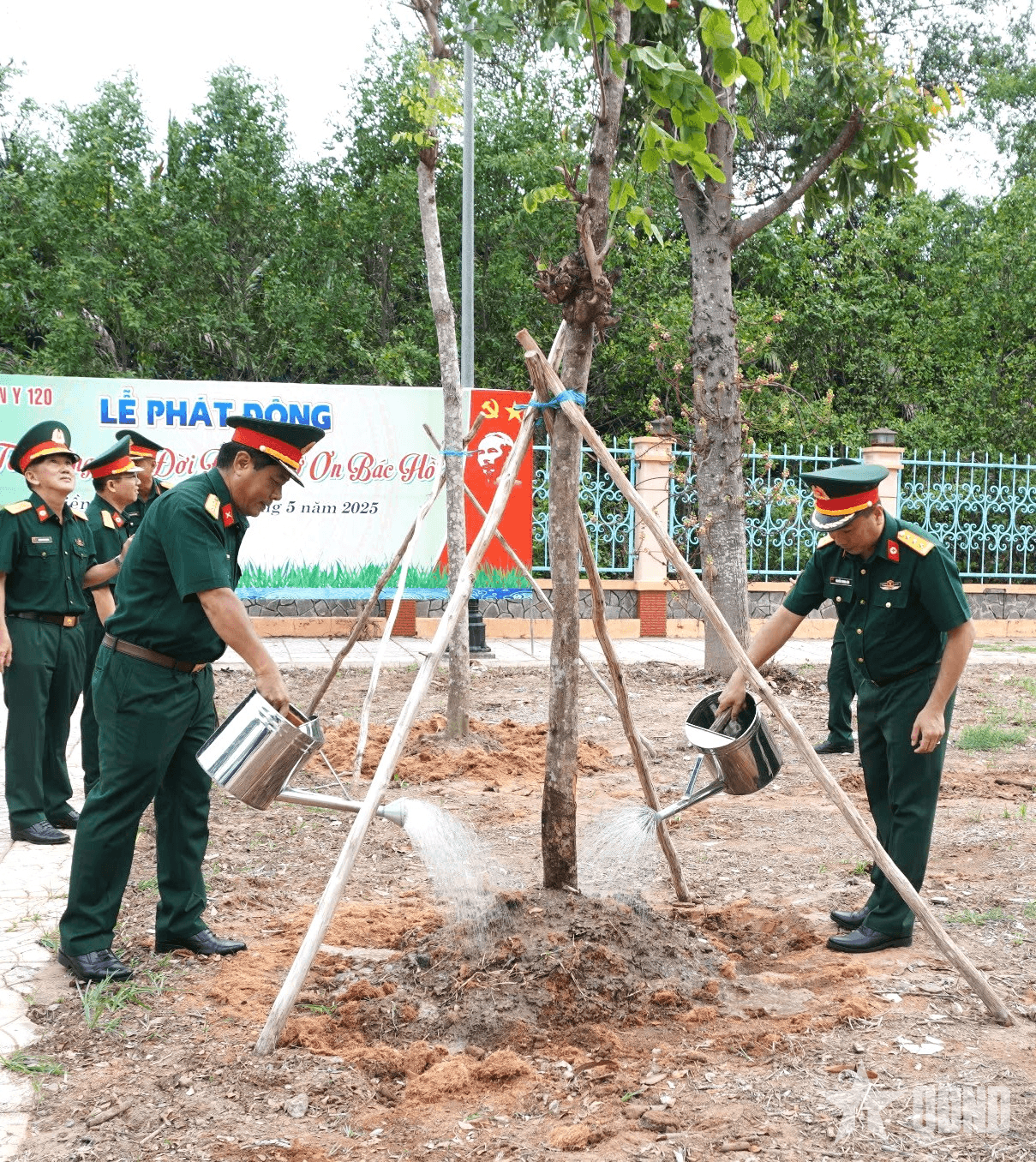 Bệnh viện Quân y 120: Hưởng ứng chương trình trồng 1 tỷ cây xanh