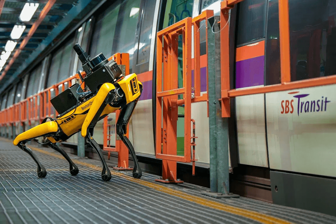 Chó robot không thiếu việc làm ở Singapore