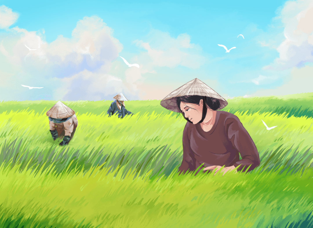 Chan chứa đồng quê