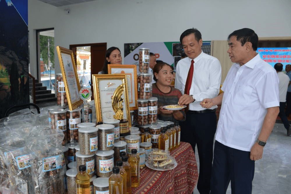 Mắc ca -  hạt giống khát vọng ở Tuần Giáo