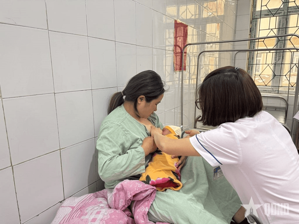 Vi chất dinh dưỡng có vai trò quan trọng như thế nào?