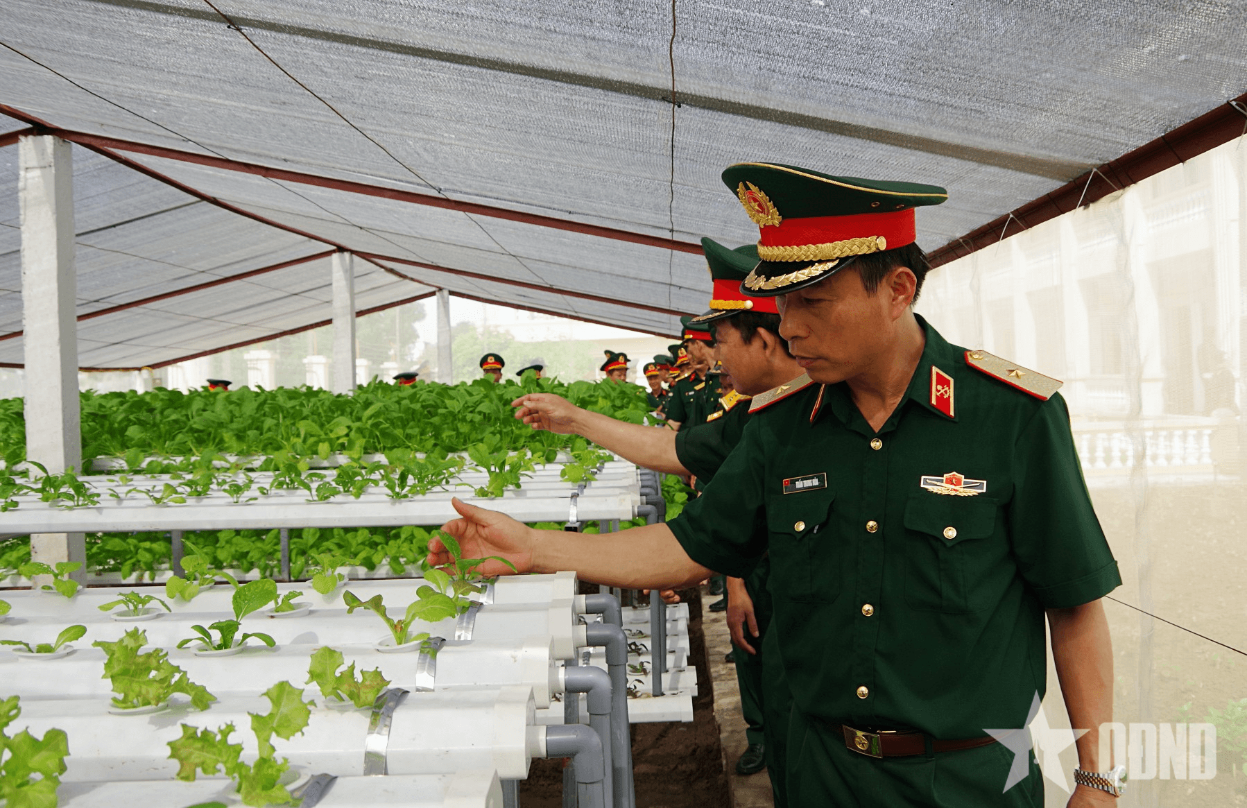 Binh chủng Công binh tổ chức Hội thi “Đơn vị nuôi quân giỏi, quản lý quân nhu tốt” năm 2025