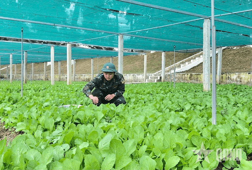 Điểm sáng về tăng gia và nuôi quân