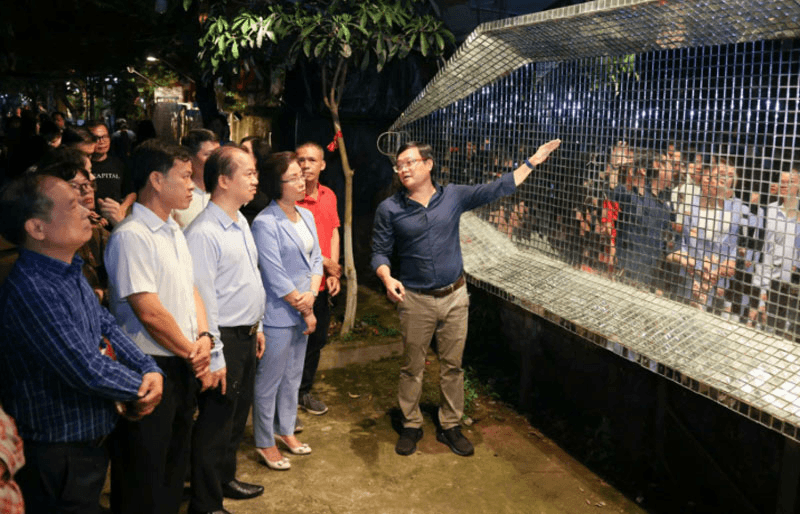 Sớm chuyên nghiệp hóa nghề giám tuyển nghệ thuật