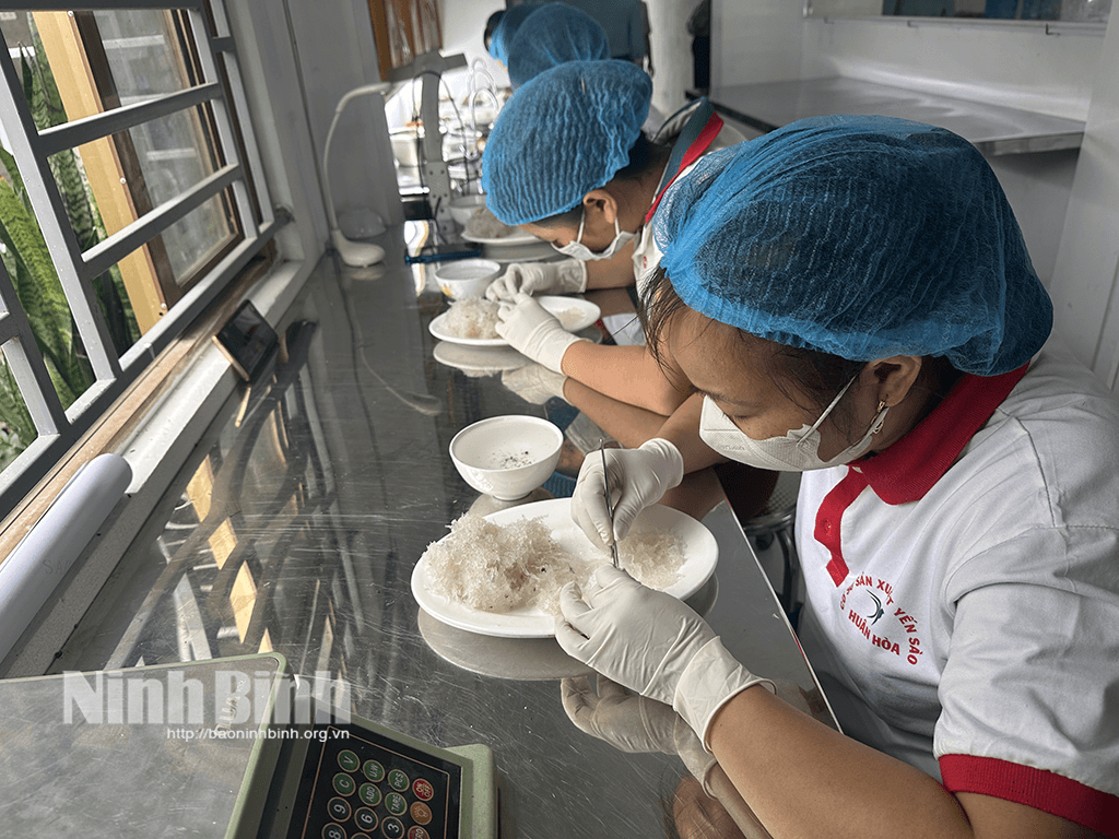 Ninh Bình triển khai các giải pháp chủ động ứng phó bất ổn thương mại