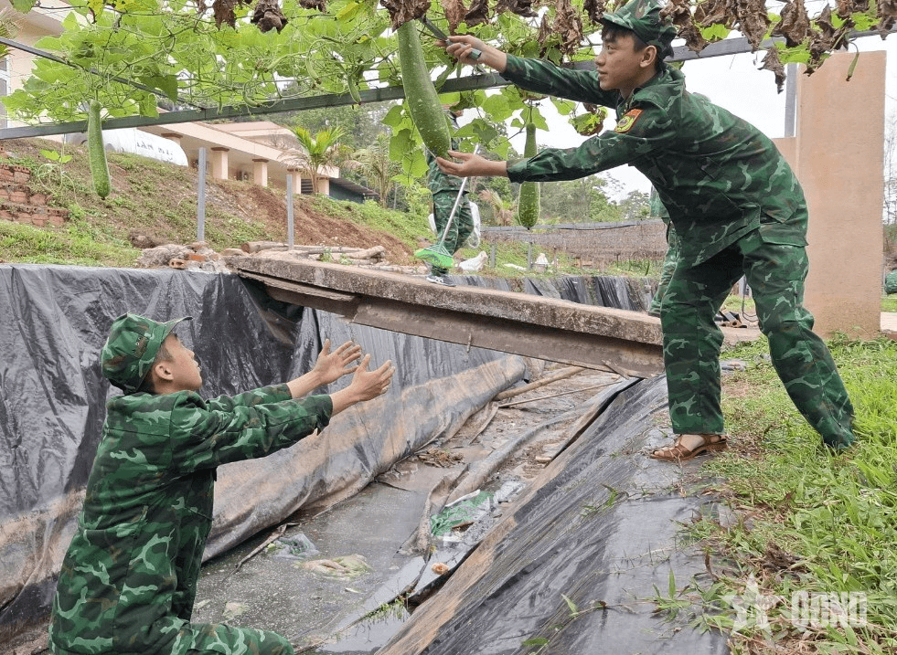 Biên phòng tăng gia trên đảo
