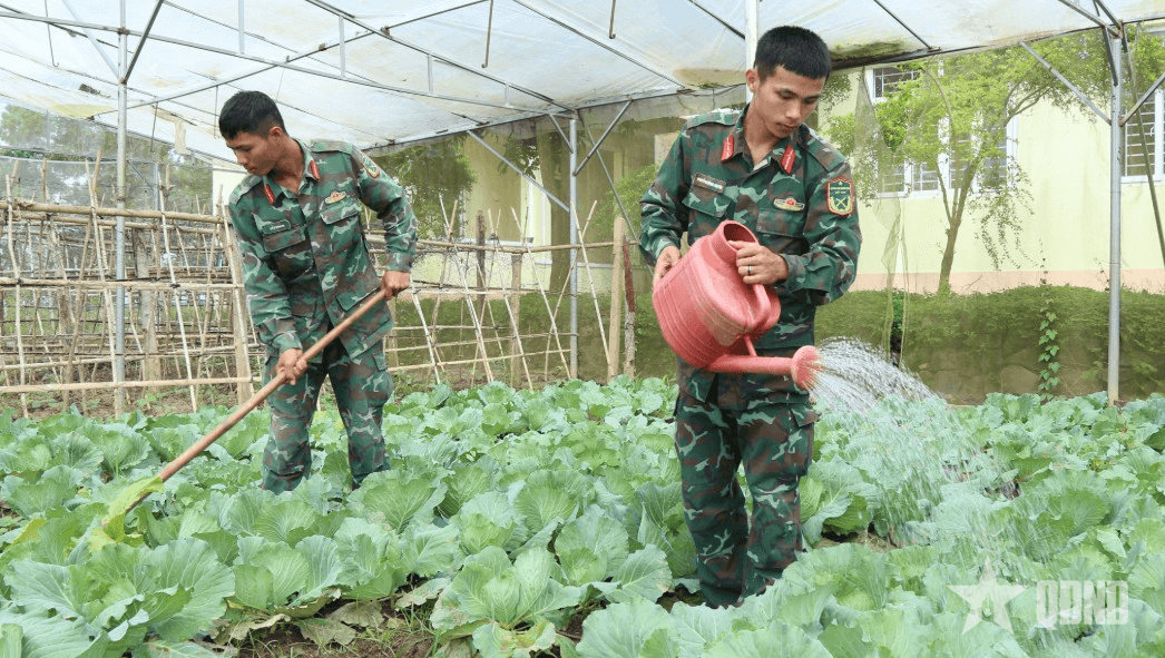 Bộ đội vùng biên giỏi tăng gia sản xuất