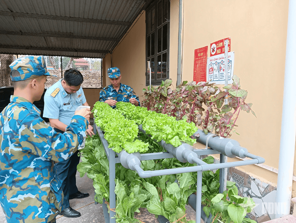 Mô hình trồng rau thủy canh của Bộ đội Phòng không - Không quân