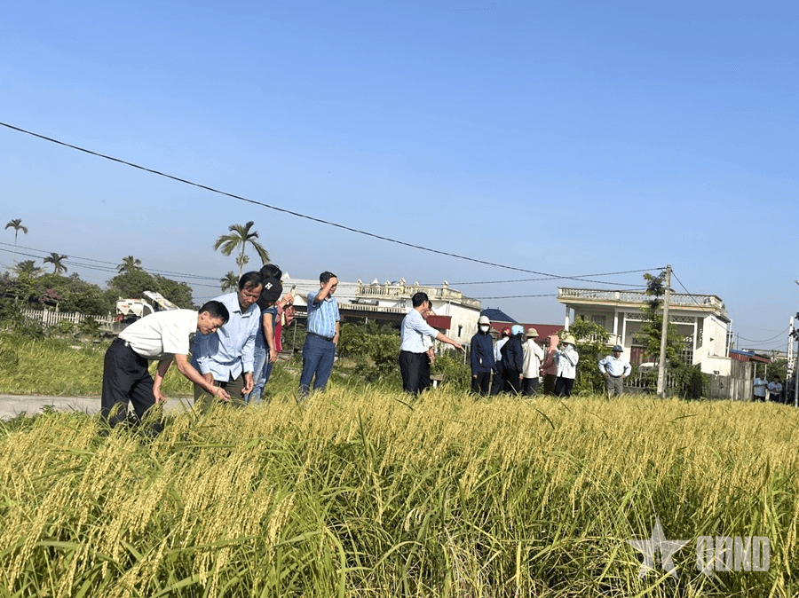 Liên kết chuỗi - đòn bẩy nâng cao giá trị nông nghiệp