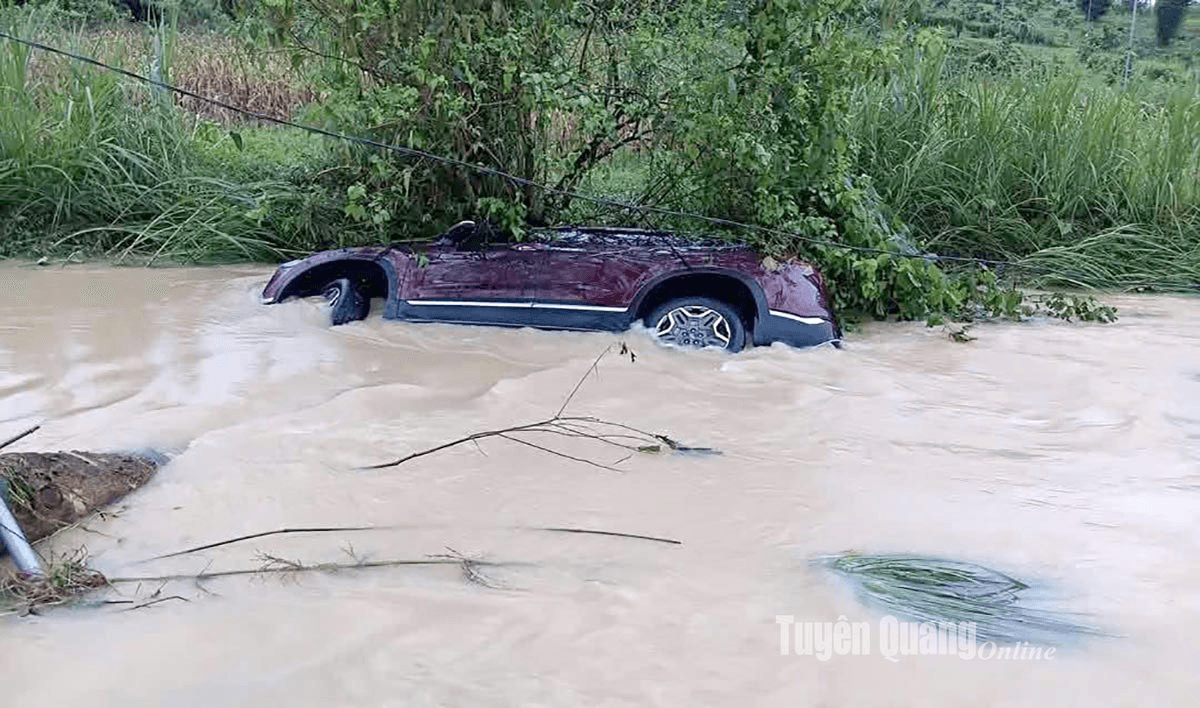 Kịp thời cứu 5 người bị lũ cuốn ở Tuyên Quang
