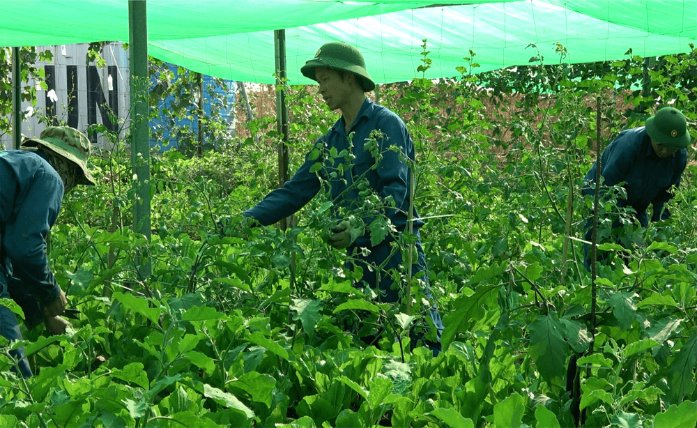 Bản lĩnh đảng viên ở Abyei-Bài 2: Kiên trì để thực túc, binh cường