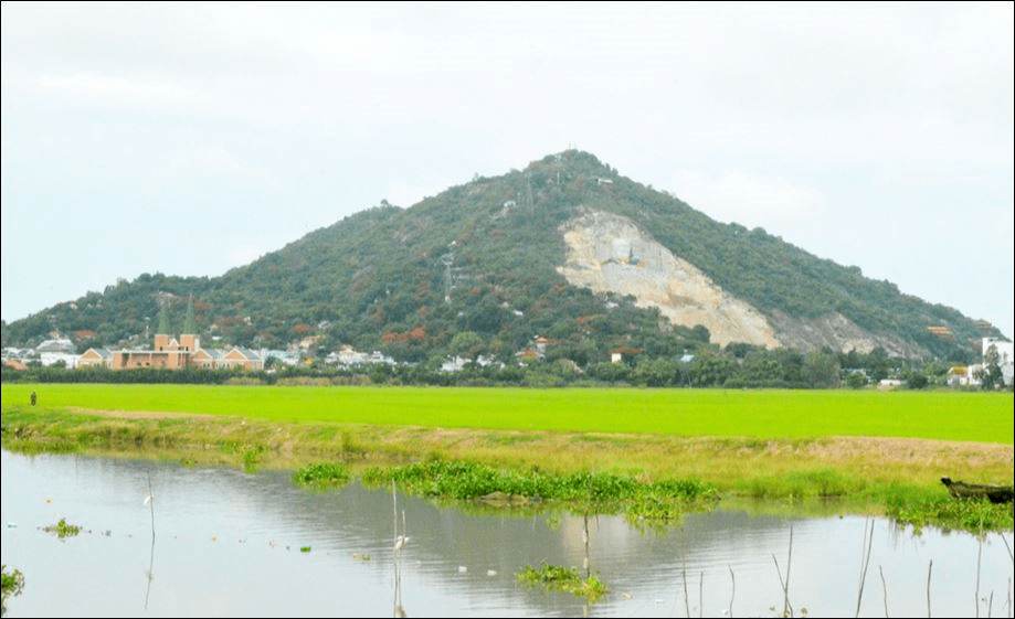 Núi Sam mùa phượng nở