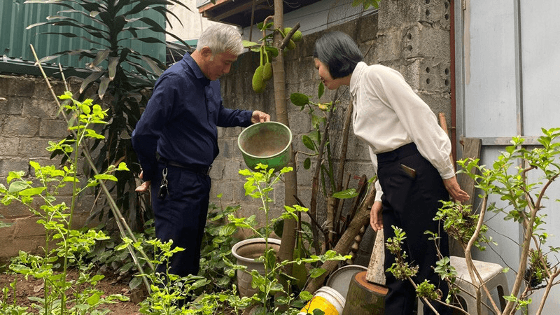 Hà Nội: Số ca mắc sốt xuất huyết tăng