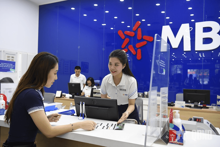 Tạo nền móng vững chắc trong tăng trưởng dài hạn