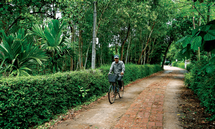 Thương nhớ những bờ rào xưa