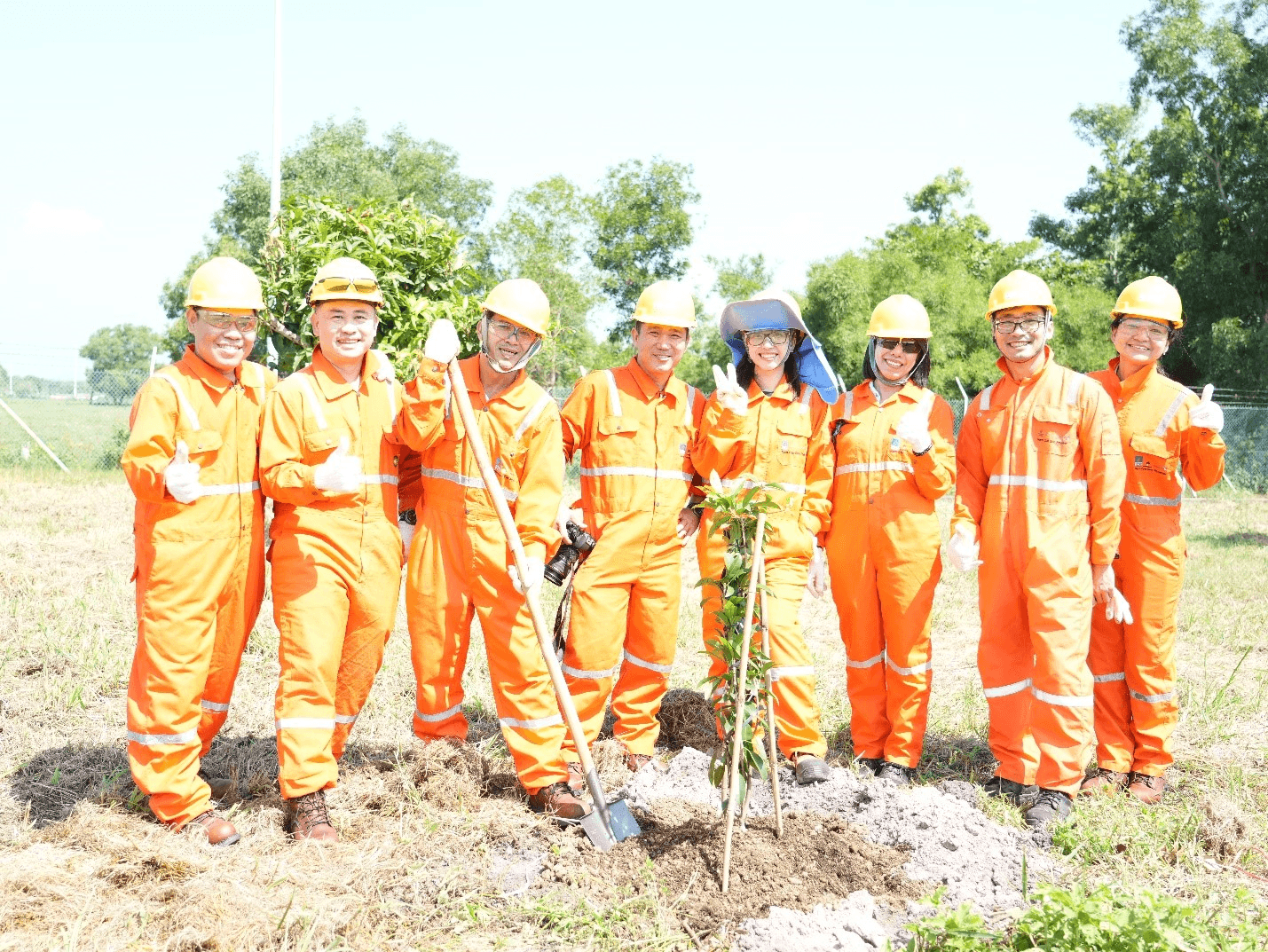 NCSP và PV GAS D chung tay phủ xanh không gian sống