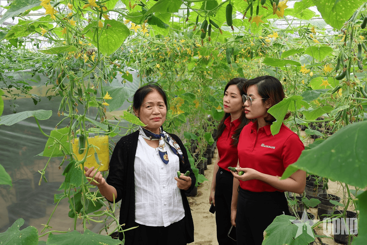 Tăng tính chủ động trong việc cung ứng vốn