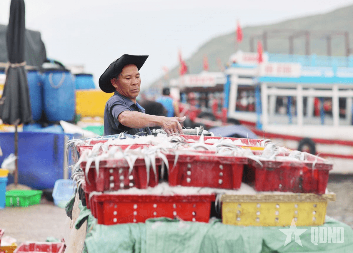 Nơi cuộc sống gắn liền với biển cả