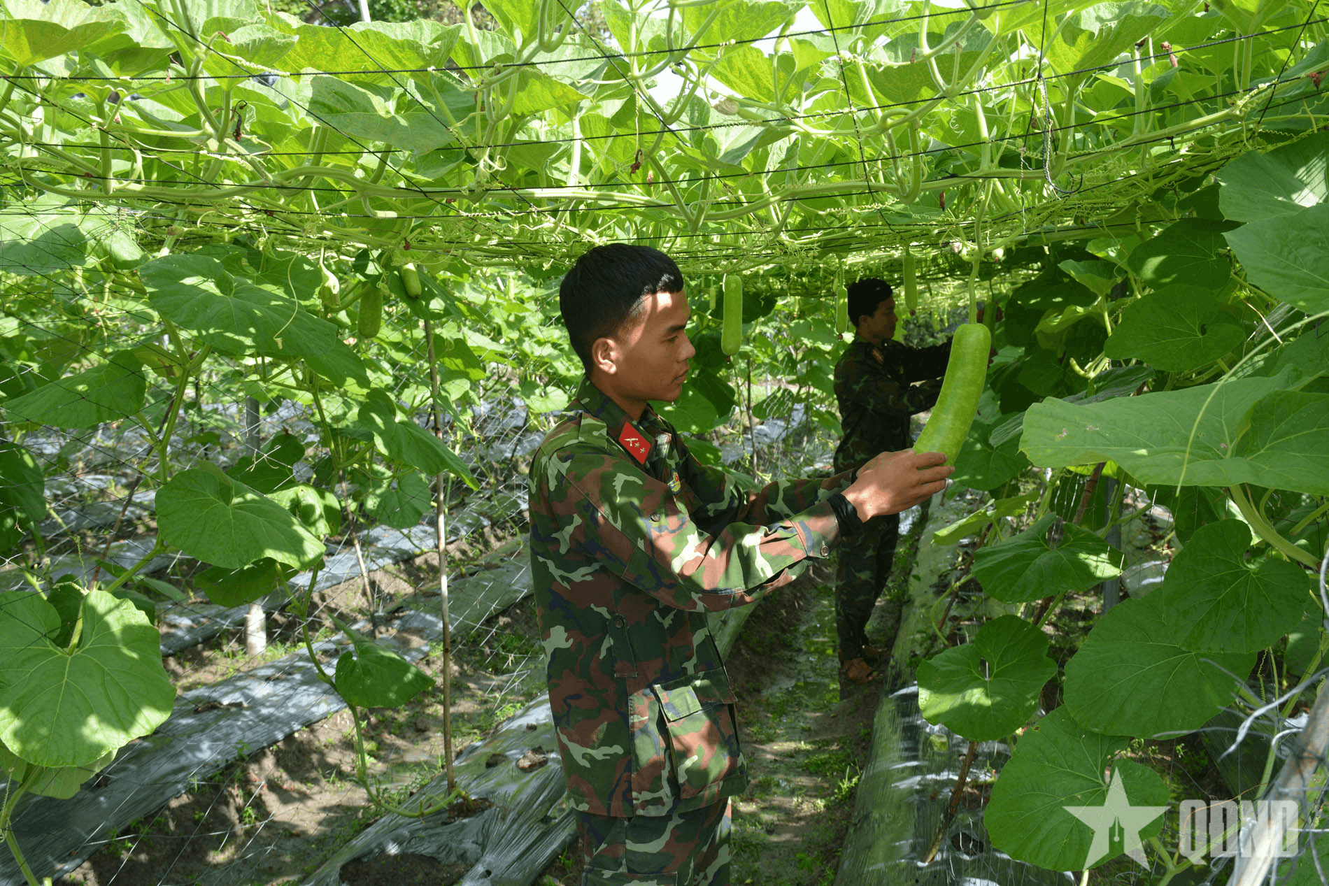 Chủ động bảo đảm tốt hậu cần - kỹ thuật cho các nhiệm vụ