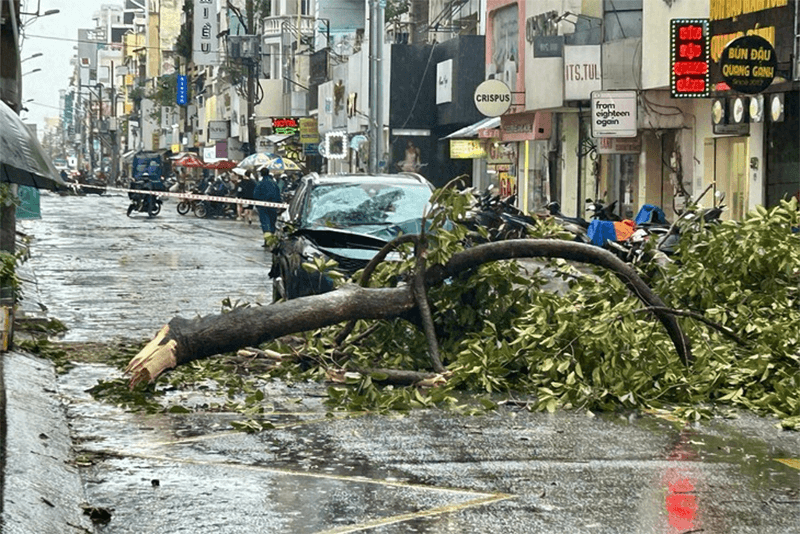 Cây xanh đổ hàng loạt tại Thành phố Hồ Chí Minh sau mưa dông