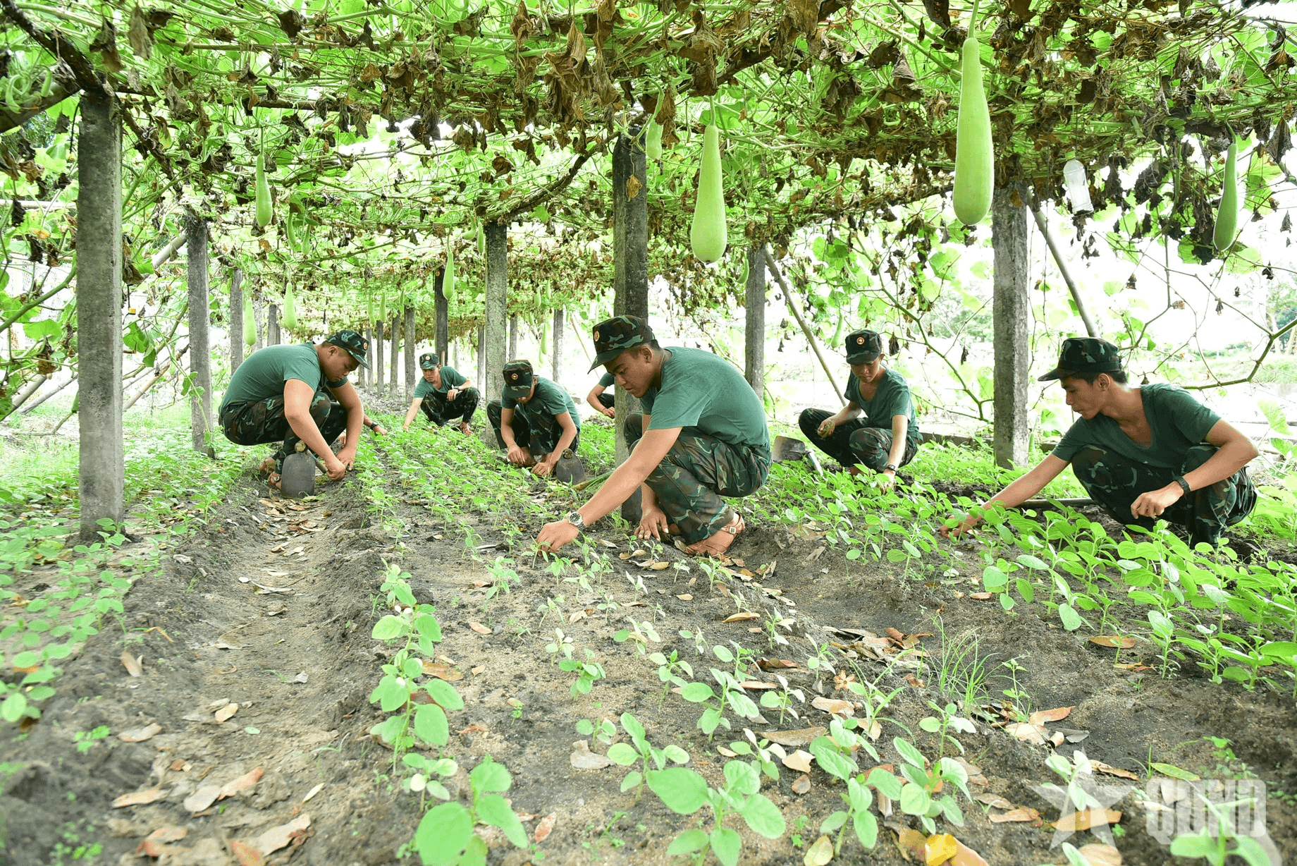 Phát huy nội lực, nâng cao chất lượng các mặt bảo đảm hậu cần