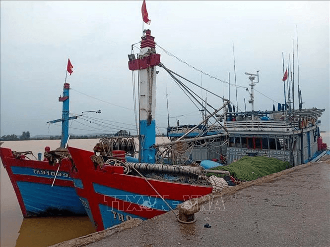 Ứng phó bão số 3: Gần 6.600 tàu, thuyền ở Thanh Hóa đã neo đậu, tránh trú an toàn