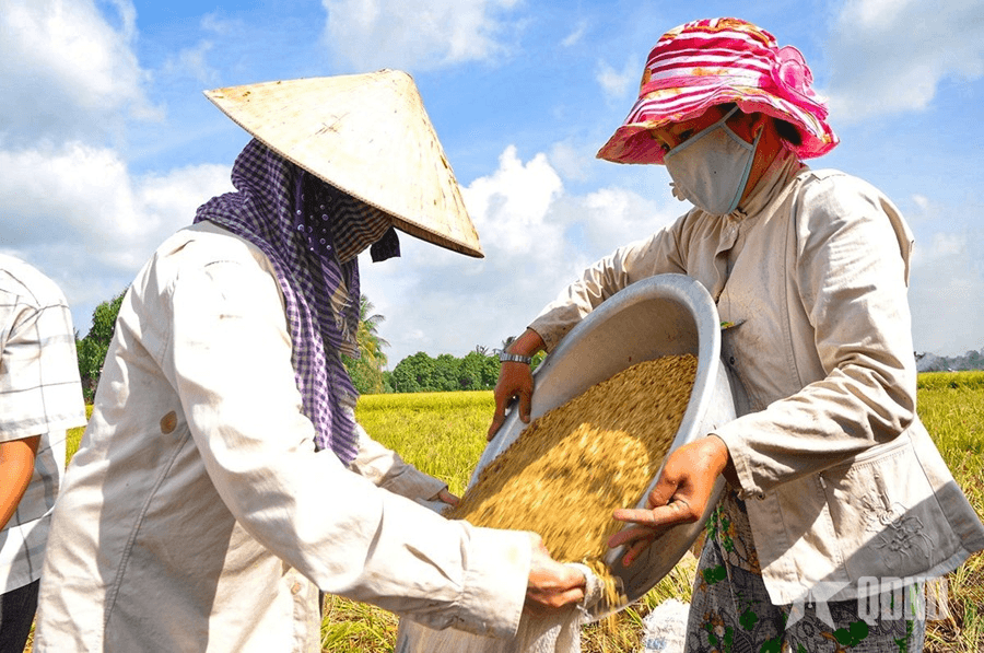 Hành trình bứt phá của nông nghiệp Việt Nam