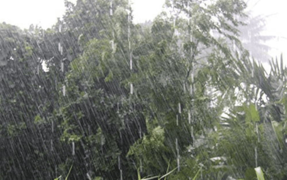 Thời tiết hôm nay (25-7): Bắc Bộ mưa to trên diện rộng