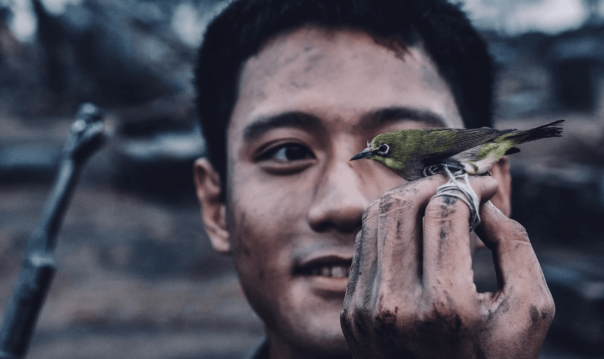 Cao hơn cái chết là vô cùng sự sống