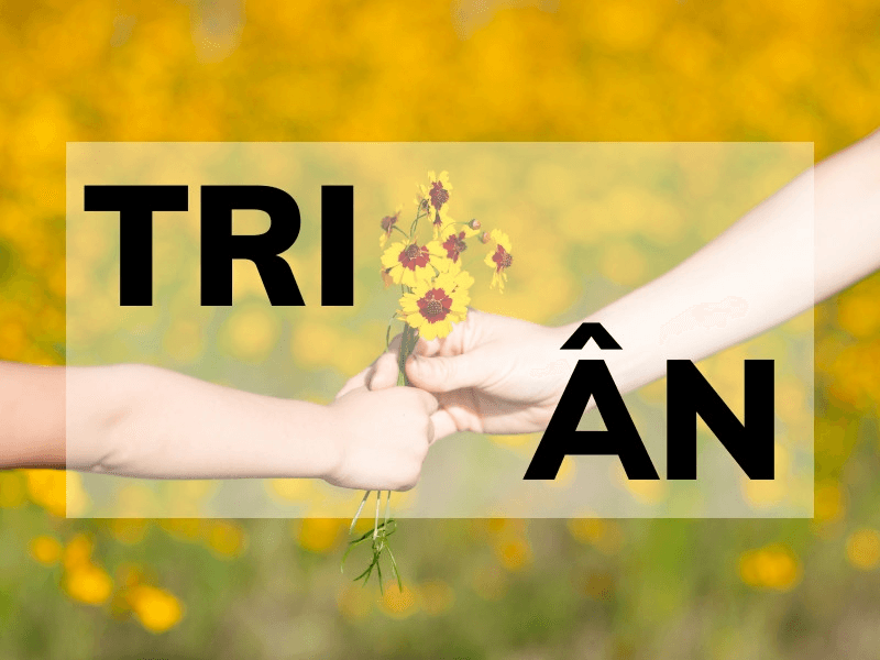 Tri ân