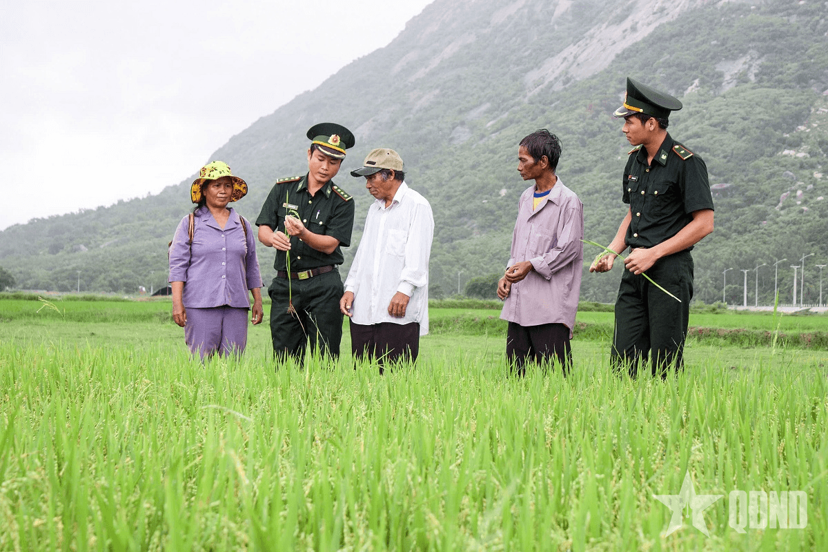 Trang sử mới của người Raglay - Bài 1: Cuộc di dời xuống chân Núi Chúa