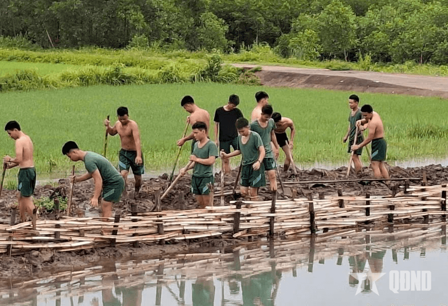 Nghĩa Mai nhớ mãi các anh