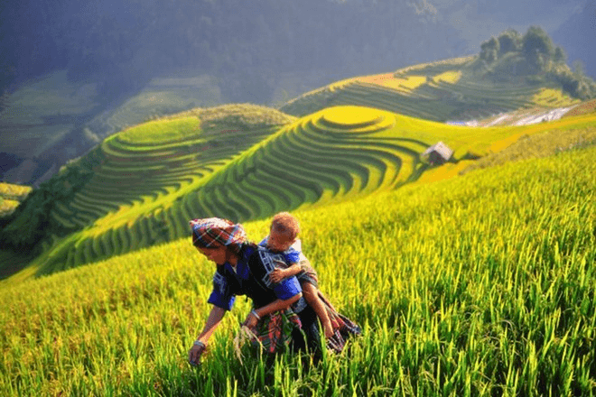 Hoạt động tuyên truyền, vận động thay đổi “nếp nghĩ, cách làm” góp phần xóa bỏ tập tục văn hóa có hại trong Chương trình 1719 gồm những nội dung nào?