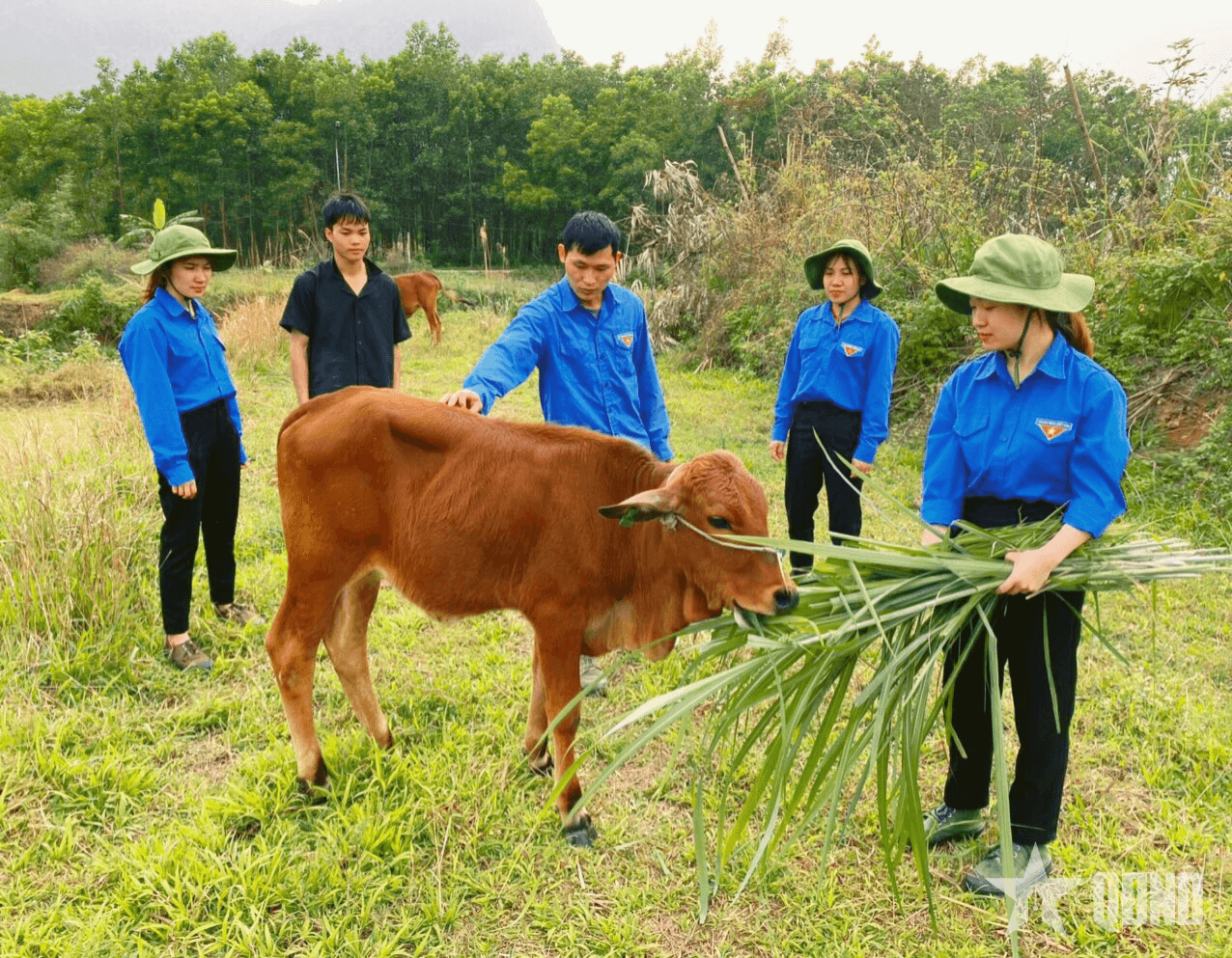 Đoàn Kinh tế - Quốc phòng 327 (Quân khu 3): Giúp dân là mệnh lệnh không lời