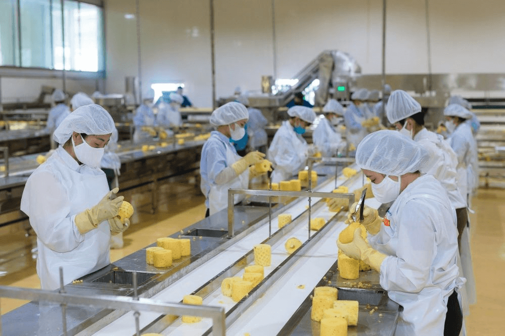Nâng cao giá trị nông sản vùng Bắc Trung Bộ